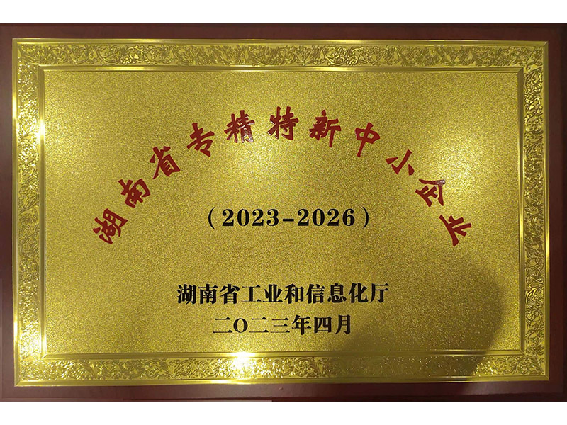 湖南省專(zhuān)精特新中小企業(yè)